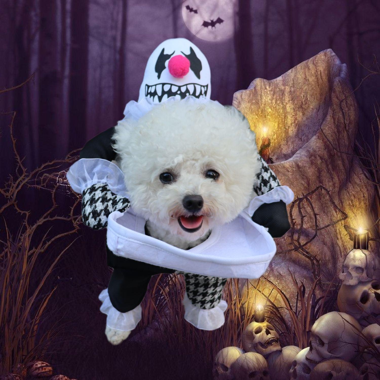 Pet Halloween Demon Transformation Costume Lootquake LLC