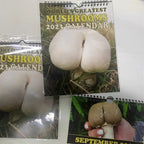 2024 New Cross-border Calendar Great Mushroom Calendar Pi-Mart
