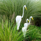 Garden Decoration Pi-Mart