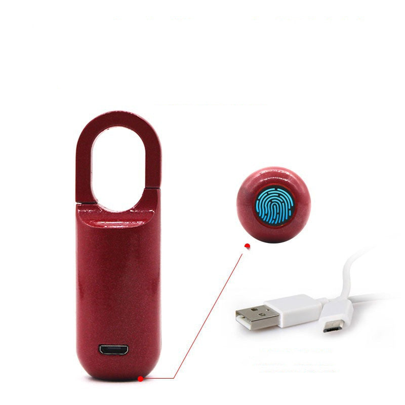 Fingerprint Padlock Small Schoolbag Cabinet Suitcase Household Pi-Mart