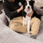 [Cozy Dog Bed] Orthopedic Faux Fur Dog Bed | Cozy Human-Sized Dog Bed For All Breeds - 71"x45"x14" With Blanket And Pillow, Washable, Includes Plush Pillow & Blanket Lootquake LLC