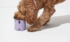 Dog Tennis Cup Natural Rubber Bite-resistant Toys Pi-Mart