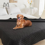 Waterproof non-slip pet mattress, pet blanket, pet furniture mattress, pet sofa waterproof cushion Lootquake LLC