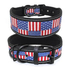 10 Colors Reflective Puppy Big Dog Collar With Buckle Adjustable Pet Collar For Small Medium Large Dogs Leash Dog Chain Dog Collar for Cats Puppy Pets Small Medium Dogs Soft and Comfortable Neck Leash Stevvex