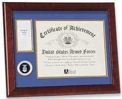 United States Air Force Medal and Award Frame The Military Gift Store