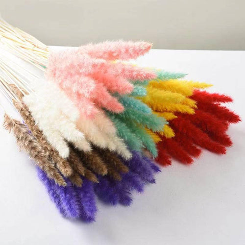 10PCS Bulrush Natural Dried Flowers Artificial Pampas Grass Decor Phragmites Fake Flower Wedding Home Decoration Floor Vase Filler for Living Room Kitchen Decor Stevvex