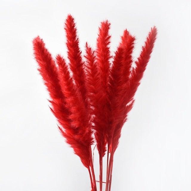 10PCS Bulrush Natural Dried Flowers Artificial Pampas Grass Decor Phragmites Fake Flower Wedding Home Decoration Floor Vase Filler for Living Room Kitchen Decor Stevvex