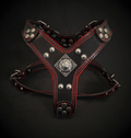 The ''Eros'' harness Black & Red Small to Medium Size - SJB-DIAMOND ELITES