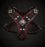 The ''Eros'' harness Black & Red Small to Medium Size - SJB-DIAMOND ELITES