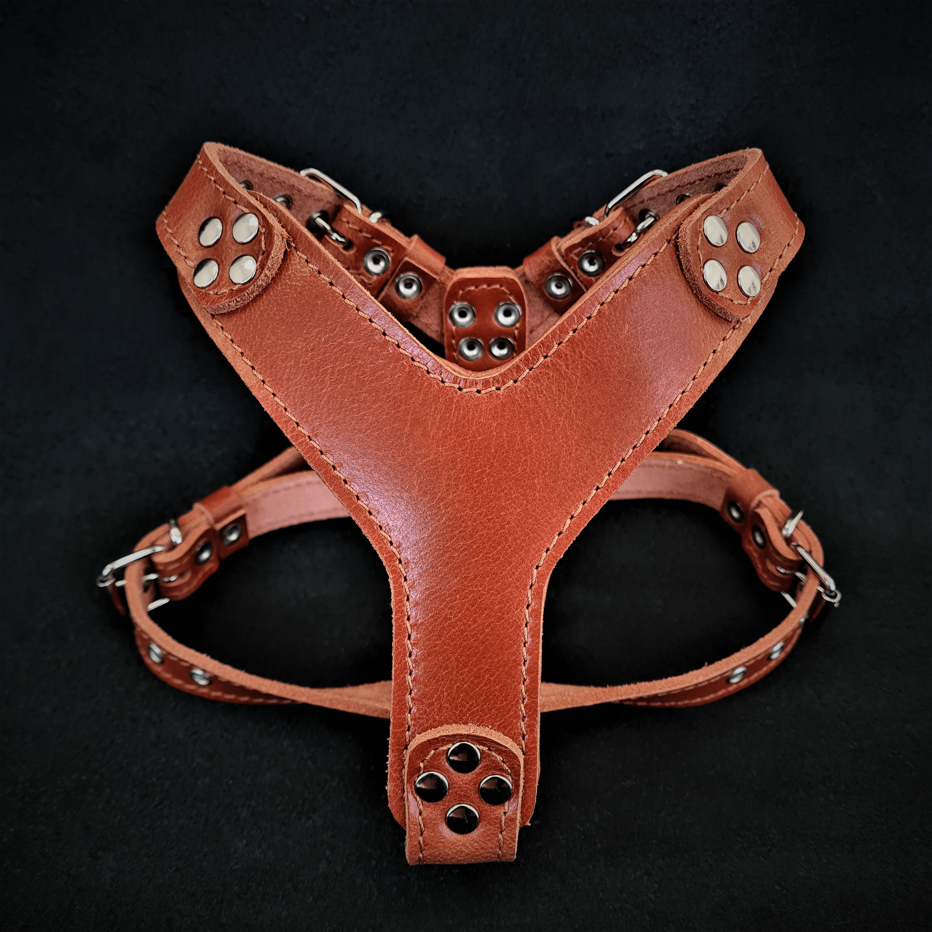 The ''Style'' harness Brown Small to Medium Size - SJB-DIAMOND ELITES