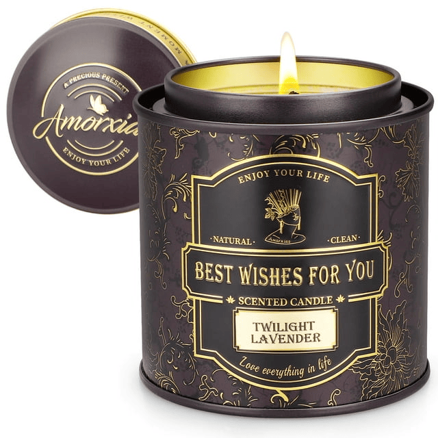 Scented Candle Gifts for Women, Stress Relief Aromatherapy Candles Jar Candles Soy Candle Gifts for Yoga, Bath, Spa, 10 Oz - Lavender EasyOptionXY LLC