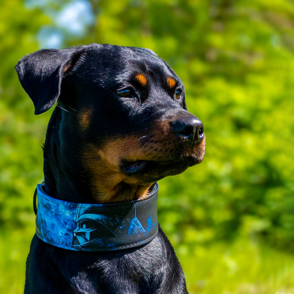 The Vader Limited Collar - SJB-DIAMOND ELITES