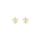 Gold Star Hoop Earrings for Women earringEarrings for WomenGold Star EarringsGold Star Earrings for WomenStar Earrings for Women SHOMICOBOUTIQUE