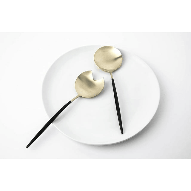 CAMBRIDGE Silversmiths Gaze Black Champagne Satin 2-Piece Serving Set EasyOptionXY LLC