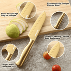 McCook MC21G Knife Sets,15 Pieces Golden Titanium Kitchen Knife Block Sets with Built-in Sharpener EasyOptionXY LLC