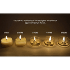 Fraser Fir, Holiday Scented Soy Tealights, 12 Pack Clear Cup Candles, Christmas Candles