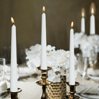 Bolsius Unscented White Taper Candles 10 Inch 60 Pack Wedding Home D¨¦cor
