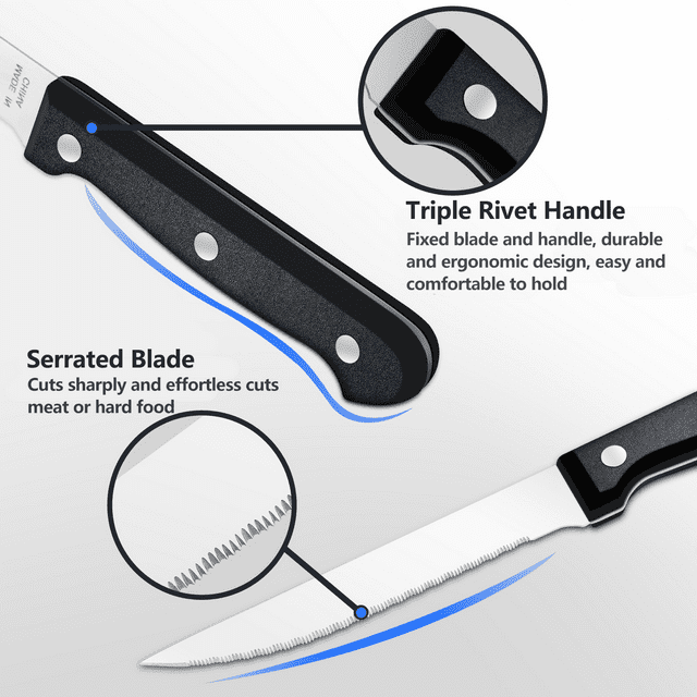 Bestdin Steak Knives, 10 Pieces 4.5" Long Blade Stainless Steel Serrated Steak Knife Set, Dishwasher Safe, Black Serrated Edge Steel Utility Knives Steakhouse Cutlery Utensil Dinner Knives EasyOptionXY LLC