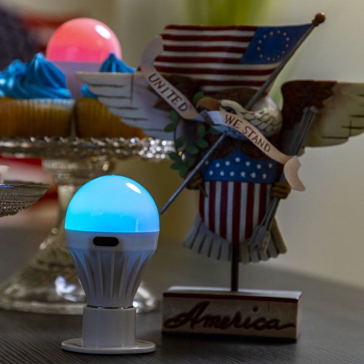 LitezAll COB LED Porta Bulb Color Changing Remote Control Light 200 Lumens 3 AAA Batteries - SJB-DIAMOND ELITES
