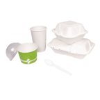 Karat PS Plastic Medium-Heavy Weight Tea Spoons Bulk Box - White - 1,000 ct - SJB-DIAMOND ELITES
