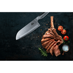 EaZy MealZ 2-Piece Knife Set 7-inch Santoku Knife and 4-inch Chef's Knife, Super Sharp Stainless Steel - SJB-DIAMOND ELITES