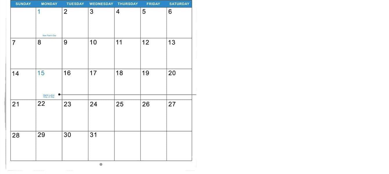 New Year Dog Poop Calendar Pi-Mart