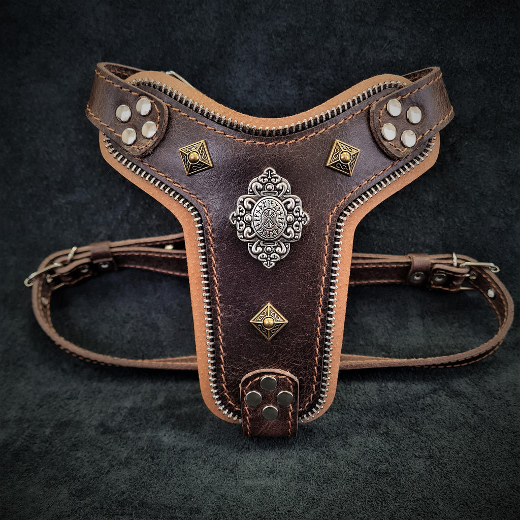 The ''Aztec'' harness Brown Small to Medium Size - SJB-DIAMOND ELITES