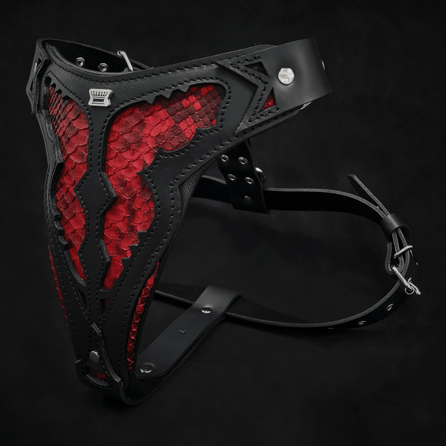 The ''Red Dragon'' harness - SJB-DIAMOND ELITES