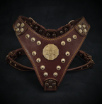 The ''Maximus'' harness Brown & Gold Small to Medium Size - SJB-DIAMOND ELITES