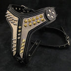 The ''Platinum'' harness - SJB-DIAMOND ELITES
