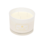 Trina Turk Citrus Sunrise 3 Wick Candle Jar 12.3 Ounces