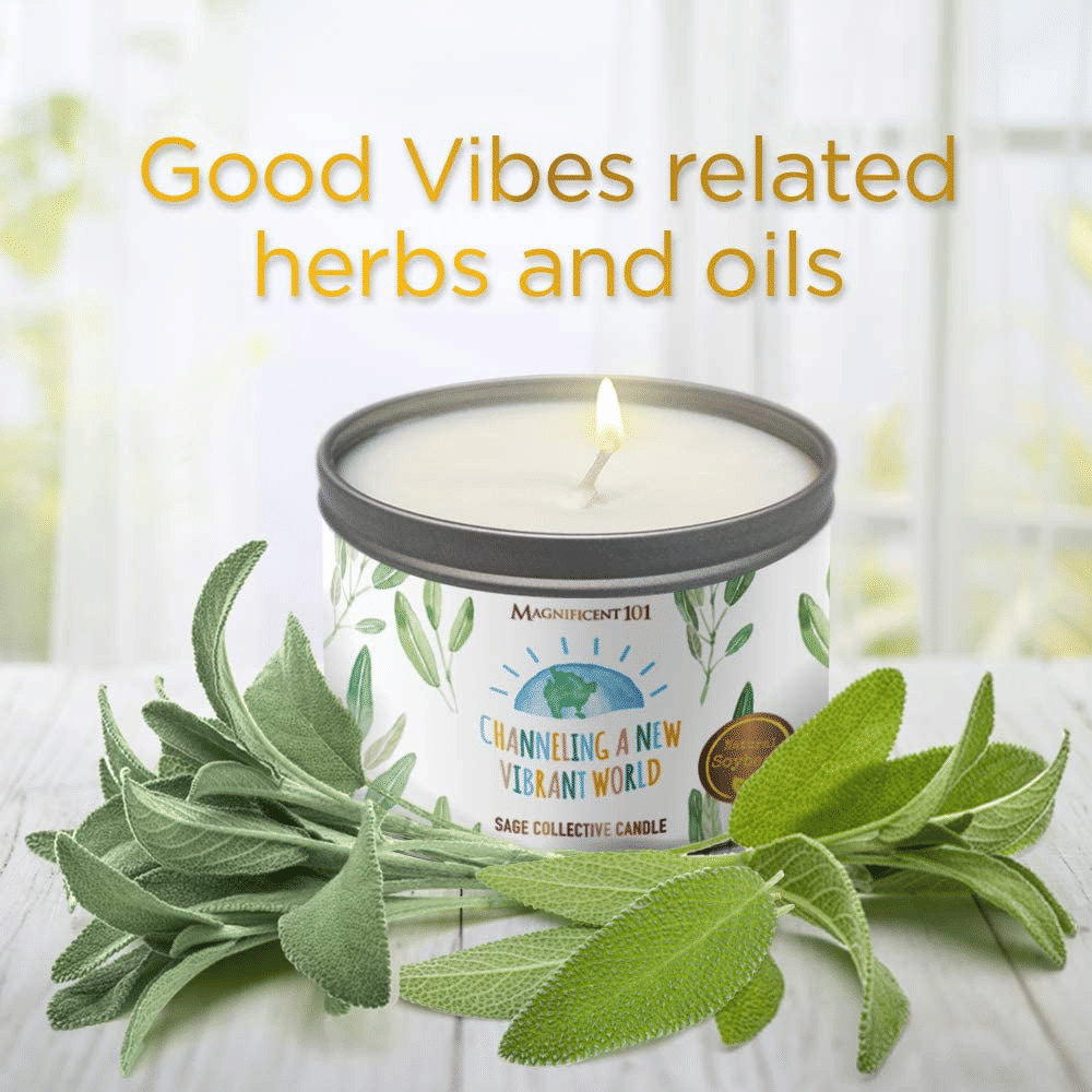 Magnificent 101 Pure White Sage Collective Aromatherapy Candle | 6 Oz - 35-Hour Burn | Made of 100% Soy Wax & Herbs | Ideal for Meditation, House Energy Cleansing & Manifestation EasyOptionXY LLC