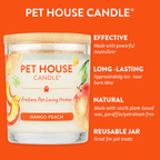 Mango Peach Candle EasyOptionXY LLC