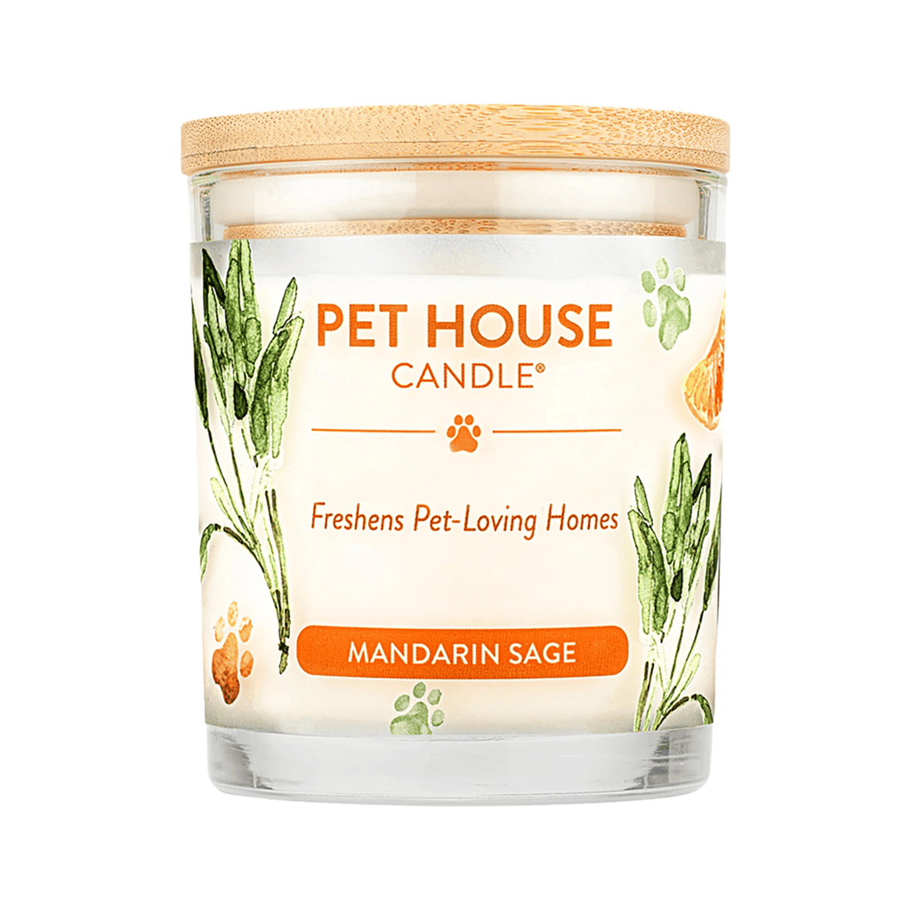 Mandarin Sage Candle EasyOptionXY LLC