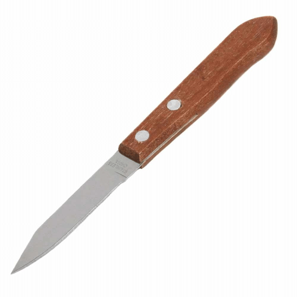 2 Pc Granny Knife 3" Stainless Steel Paring Peeling Sharp Blade Slicer Cutting EasyOptionXY LLC