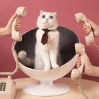 The Ultimate Feline Retreat Lootquake LLC