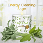 Magnificent 101 With Sage Leaf Large Glass Candle 14oz, Woody & Earthy Scented EasyOptionXY LLC