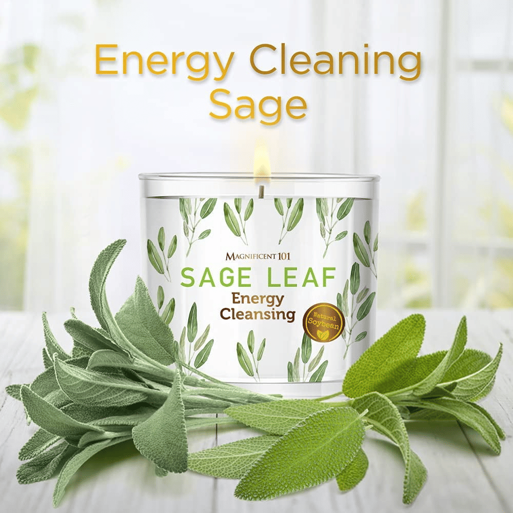 Magnificent 101 With Sage Leaf Large Glass Candle 14oz, Woody & Earthy Scented EasyOptionXY LLC