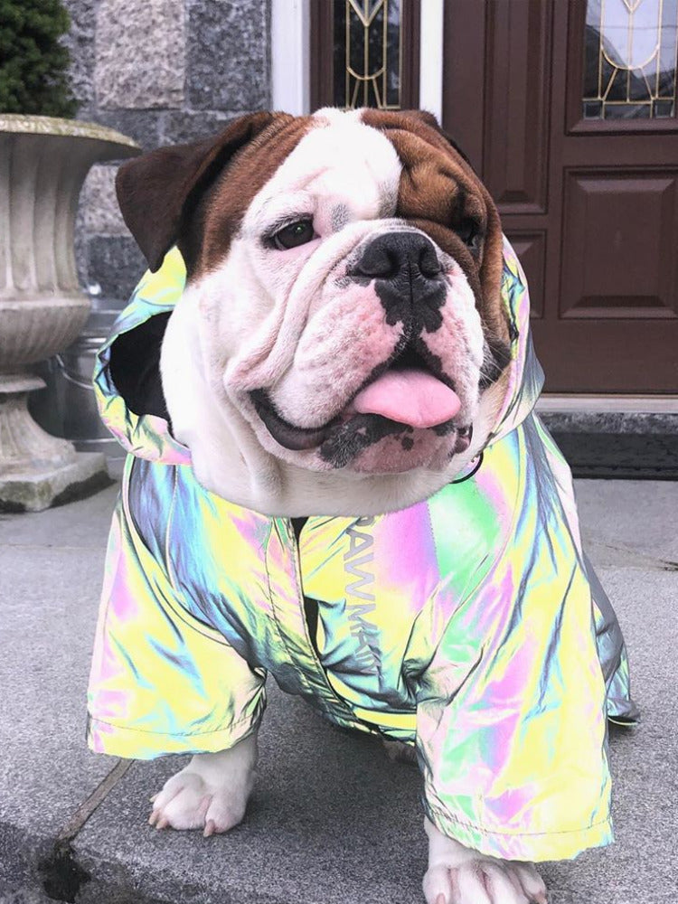 Microcrystalline reflective dog clothes Pi-Mart