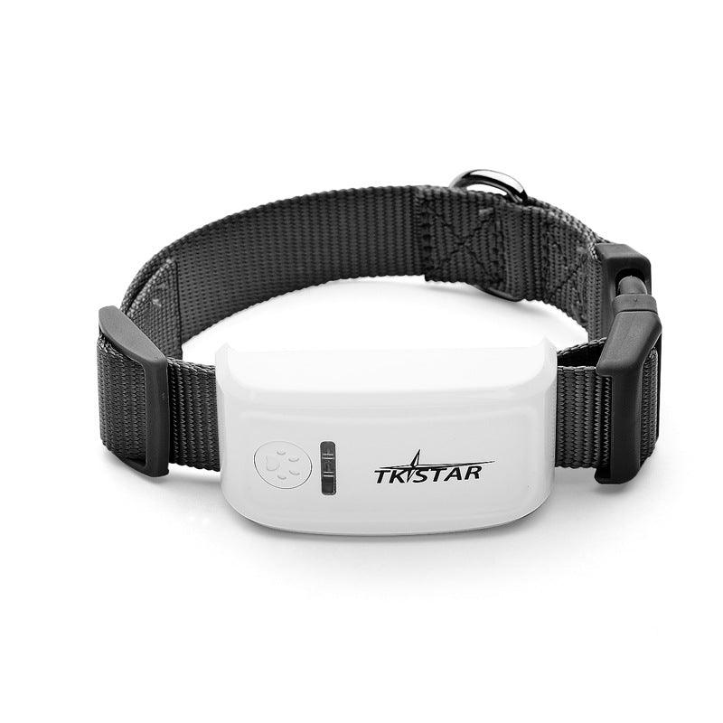 Pettrack Gps: The Ultimate Locator Device For Your Beloved Pets Lootquake LLC