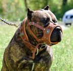 The "Eros" muzzle brown Bestia Dog Gear