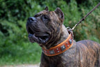 The "Eros" collar 2.5 inch wide Brown Bestia Dog Gear