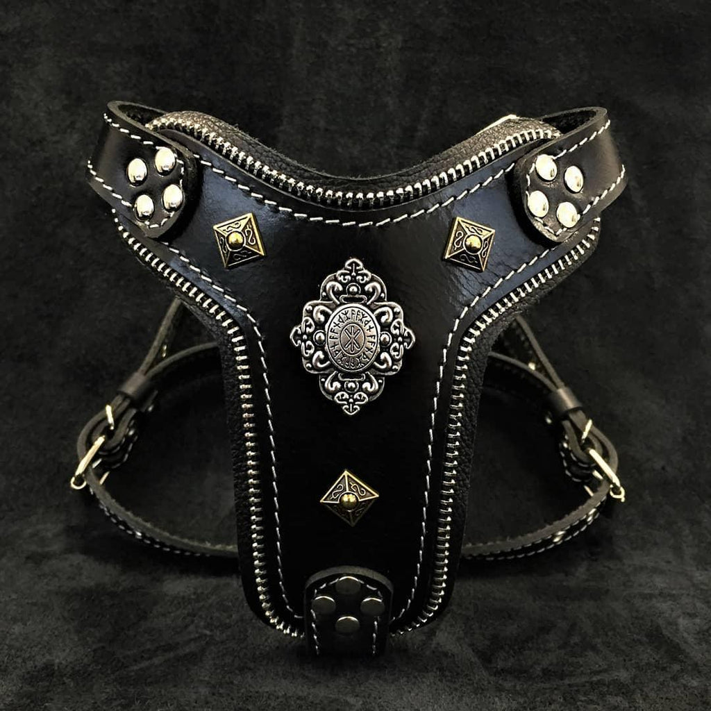 The ''Aztec'' harness Black Small to Medium Size - SJB-DIAMOND ELITES