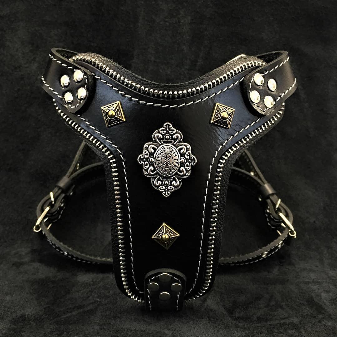 The ''Aztec'' harness Black Small to Medium Size - SJB-DIAMOND ELITES