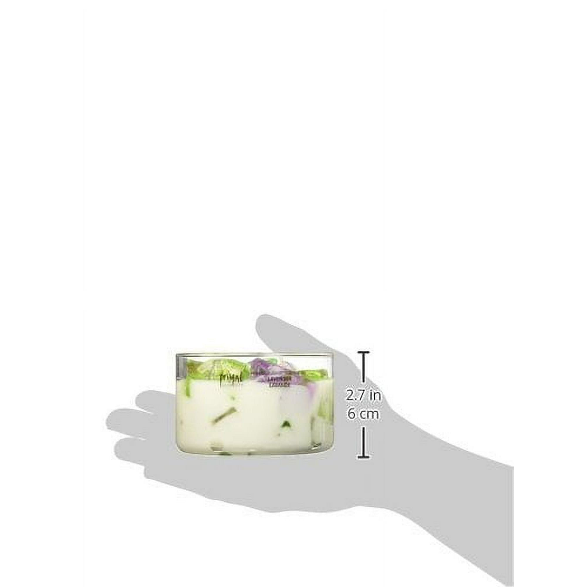 Almond Biscotti 9.5 oz Color Bowl Candle EasyOptionXY LLC