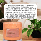 Cinnamon Clove Citrus 3-Wick Candle | Natural Soy Wax Candle for Home, 15.8 Oz Large Aromatherapy Candle for Relaxation, Scented Candle for Women and Men, Luxury Candle Gift for Him and Her
