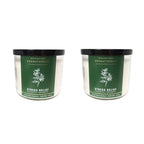 Bath and Body Works Aromatherapy 3 Wick Candle, 14.5 Oz, Eucalyptus Spearmint (2 Pack)