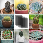 Flower Pot Bottom Gauze Pad Rectangular SucculentMesh Plate