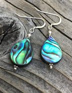 Female Fashion Creative Abalone Shell Water Drop Earrings Pi-Mart