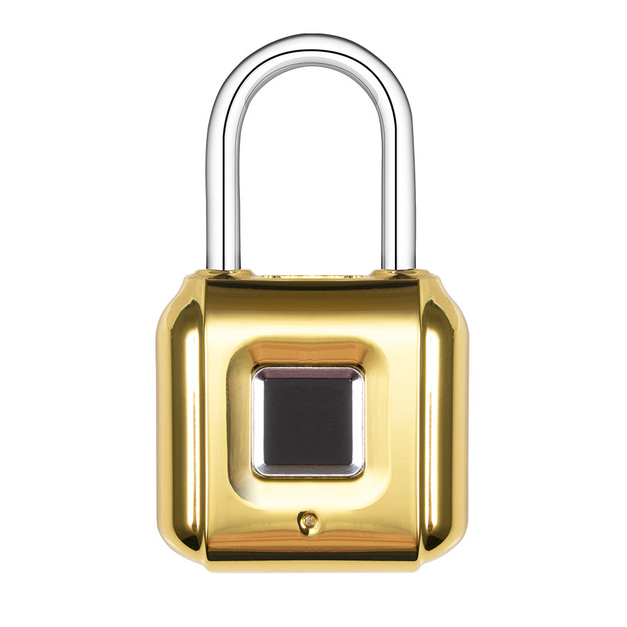 Fingerprint padlock home smart electronic door lock cabinet lock luggage small lock mini dormitory small anti-theft lock Pi-Mart